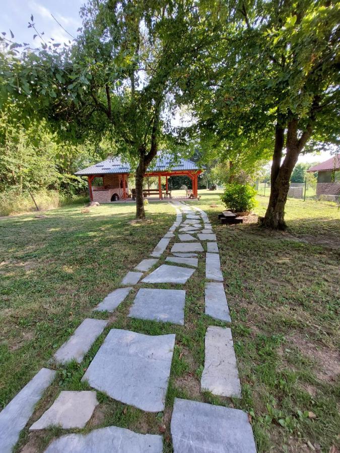 Villa House Kupa Mb à Petrinja Extérieur photo