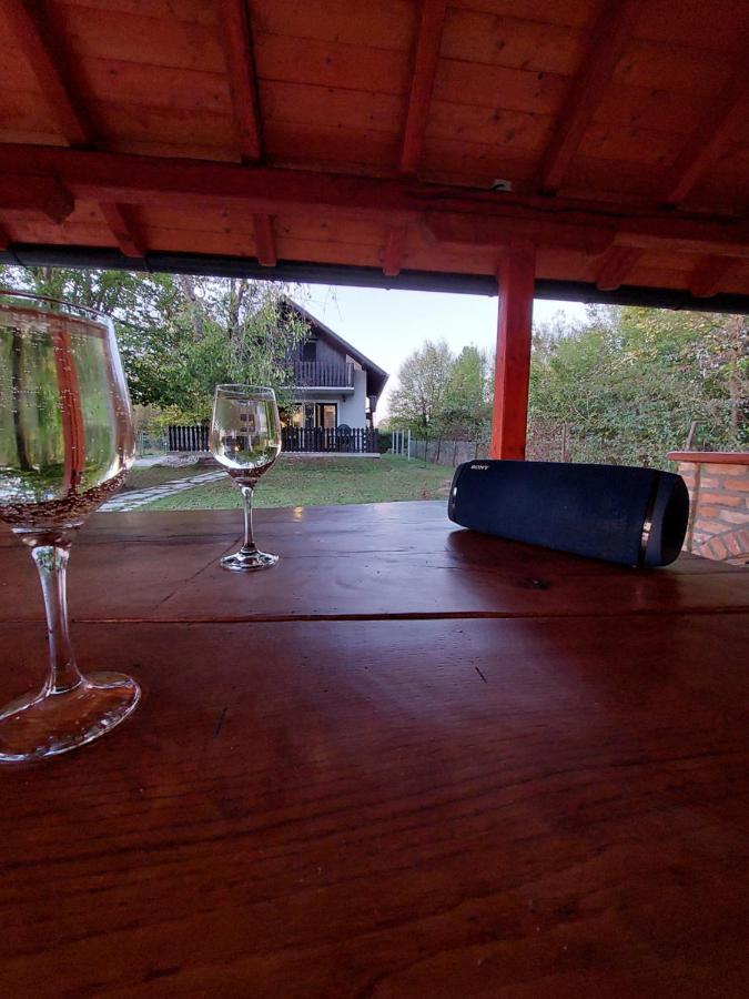 Villa House Kupa Mb à Petrinja Extérieur photo