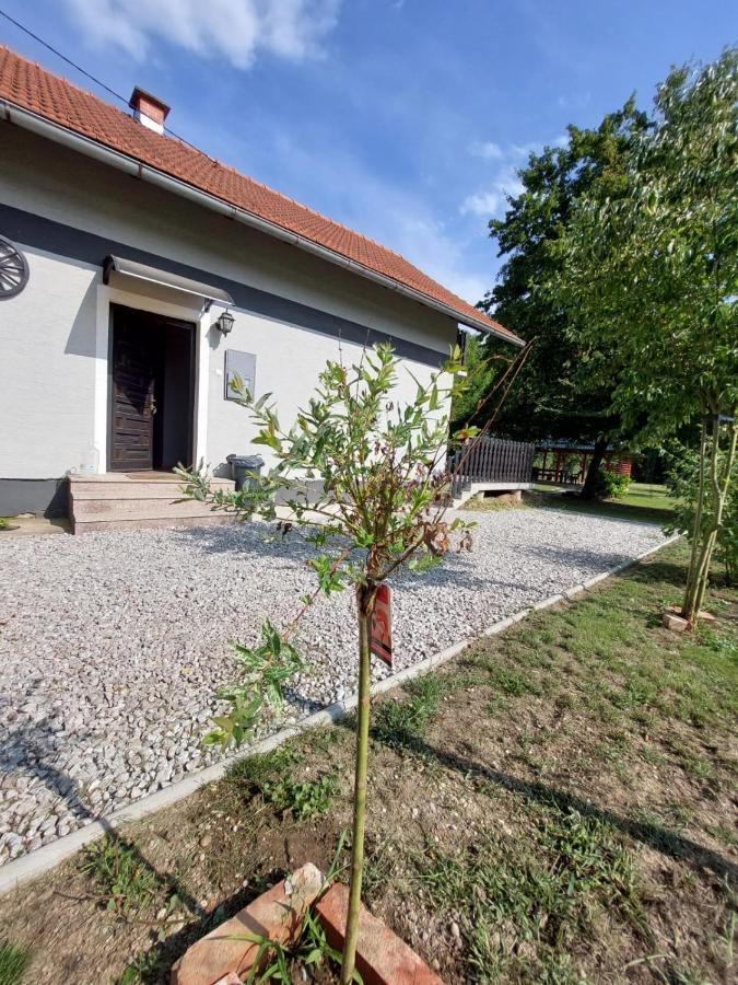 Villa House Kupa Mb à Petrinja Extérieur photo