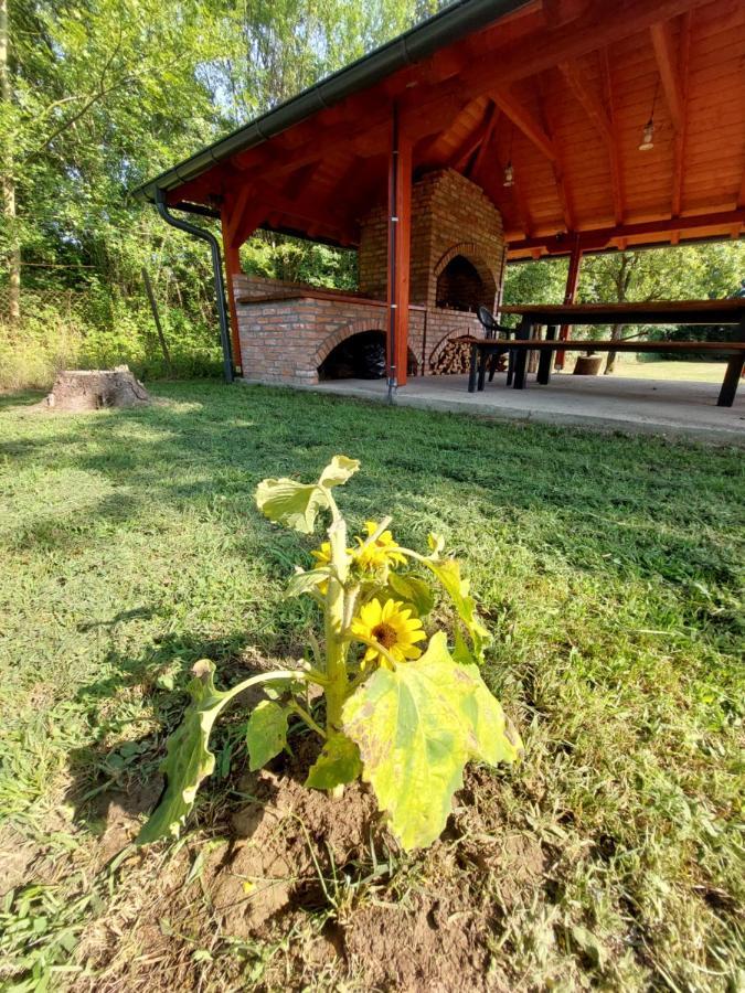Villa House Kupa Mb à Petrinja Extérieur photo