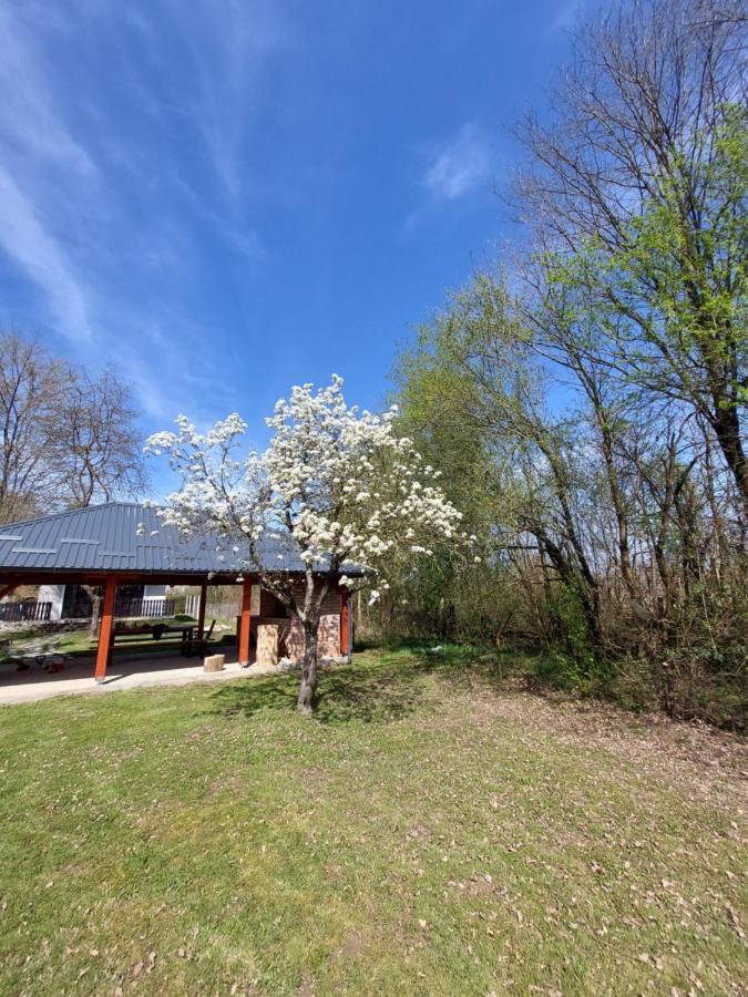 Villa House Kupa Mb à Petrinja Extérieur photo