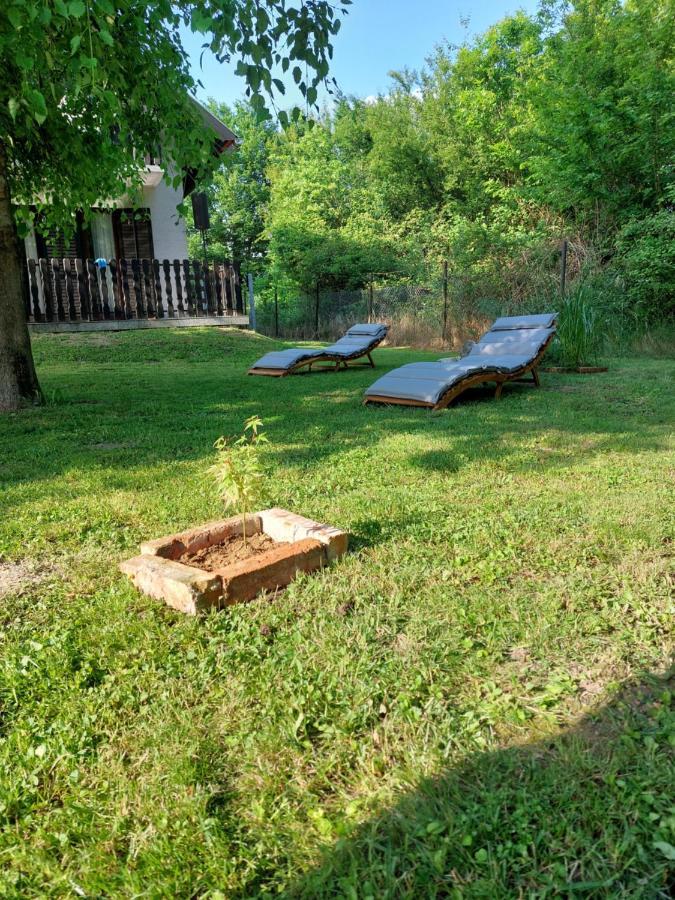Villa House Kupa Mb à Petrinja Extérieur photo
